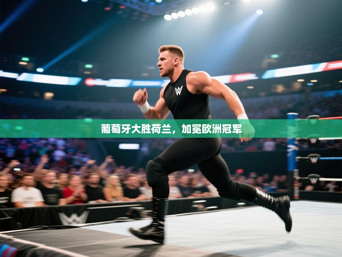 开云体育app下载地址-葡萄牙大胜荷兰，加冕欧洲冠军  第4张