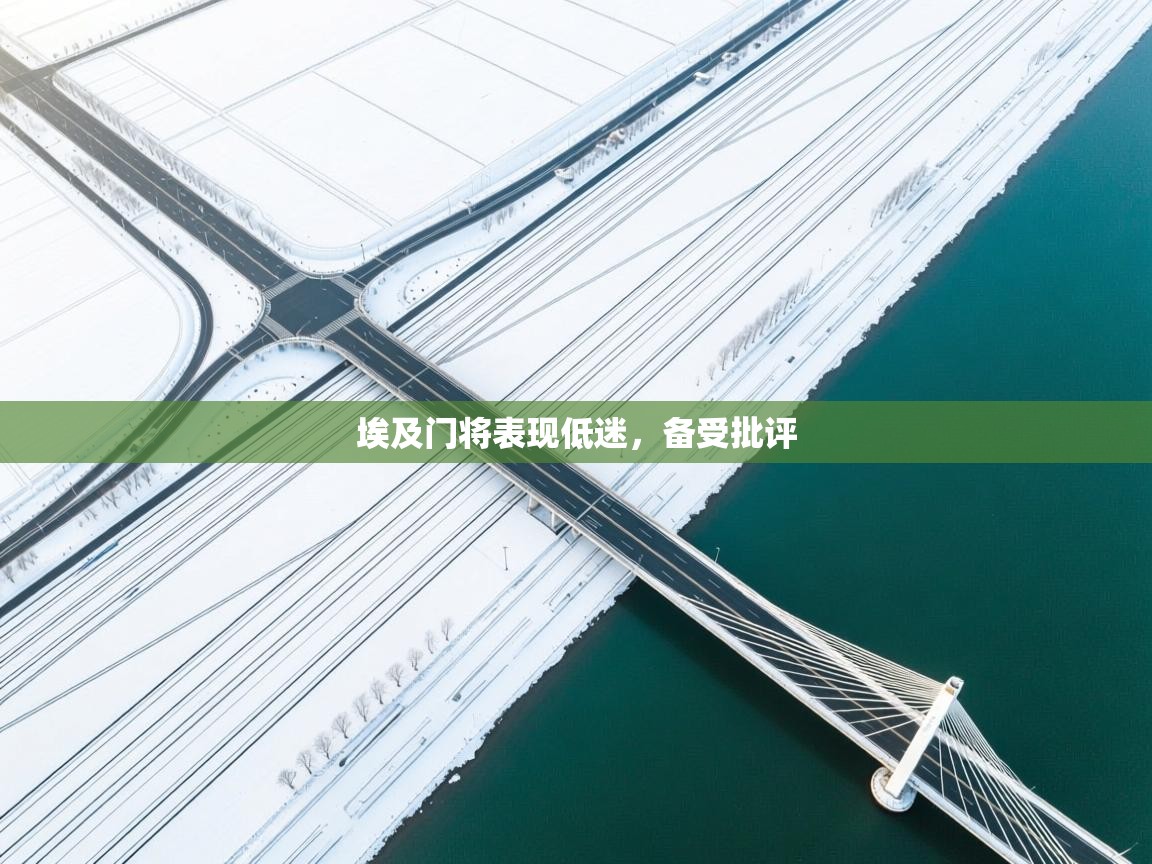 开云客服-埃及门将表现低迷，备受批评  第1张